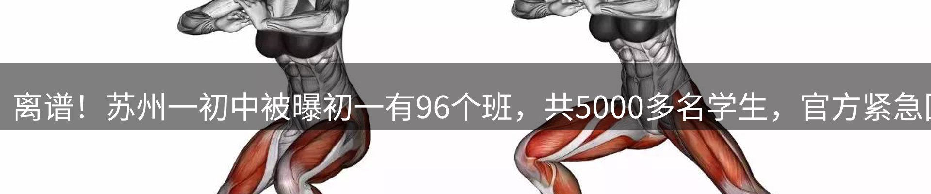 资讯报道